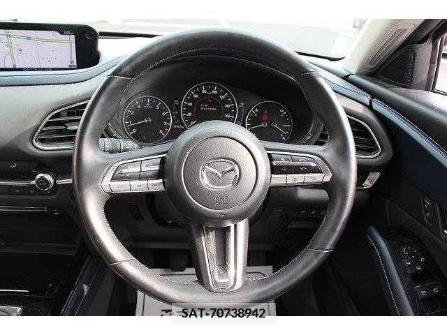 Mazda CX-30 2019-01 302097-17