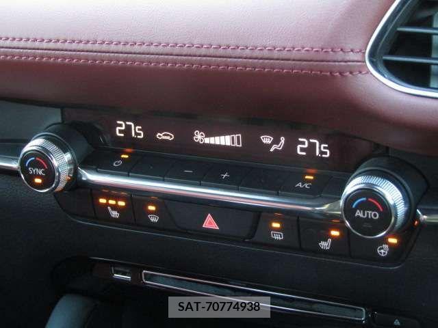 Mazda MAZDA3 2021-01 219625-12