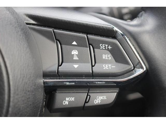 Mazda CX-8 2022-02 13608-13