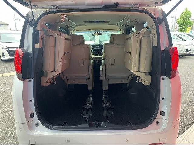 Toyota ALPHARD HYBRID 2016-06 11728-19