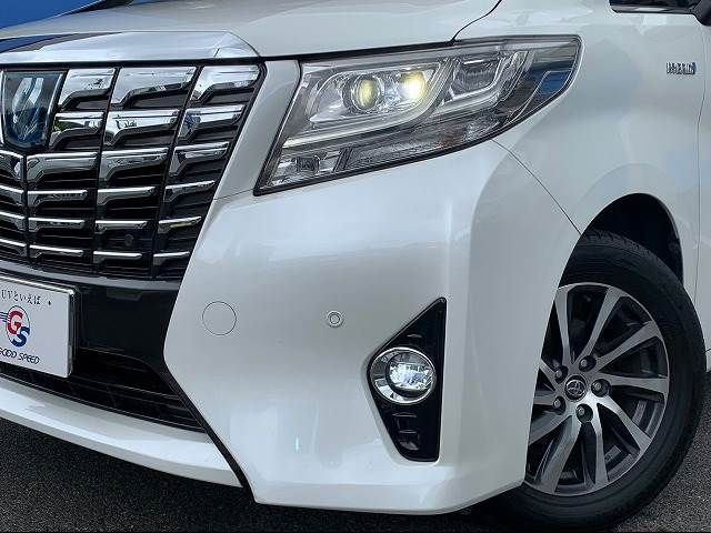 Toyota ALPHARD HYBRID 2016-06 11728-9