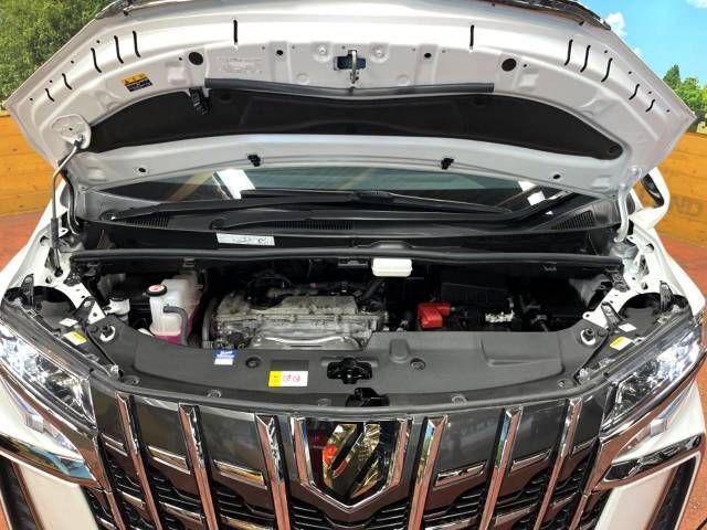 Toyota ALPHARD 2022-05 6952-19