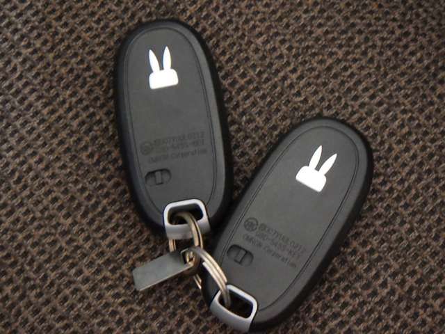 Suzuki LAPIN 2010-09 12304-15