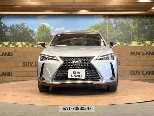 Lexus UX 2019-03 275935-14
