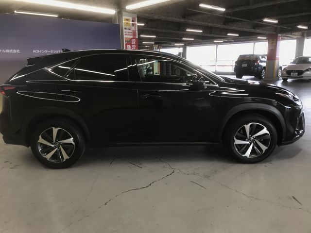 Lexus NX 2018-08 191787-6