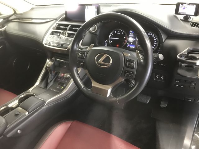Lexus NX 2018-08 191787-11