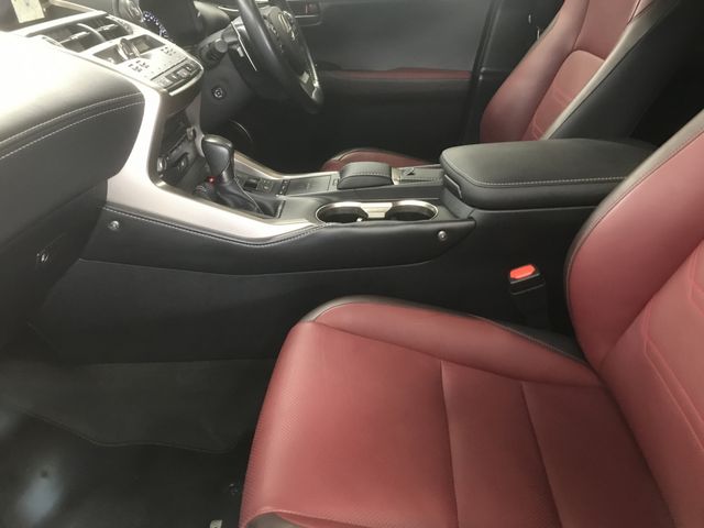 Lexus NX 2018-08 191787-19