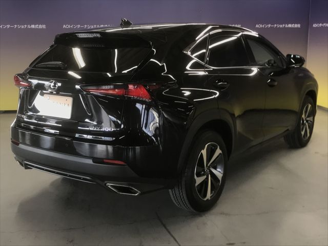 Lexus NX 2018-08 191787-9