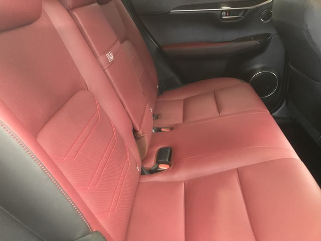 Lexus NX 2018-08 191787-14