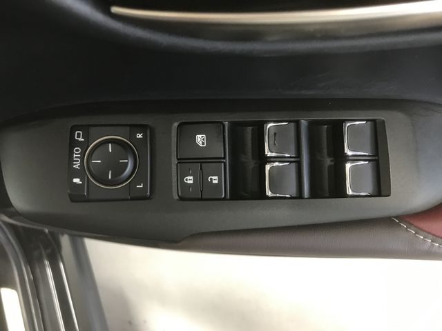 Lexus NX 2018-08 191787-23