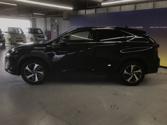 Lexus NX 2018-08 191787-7