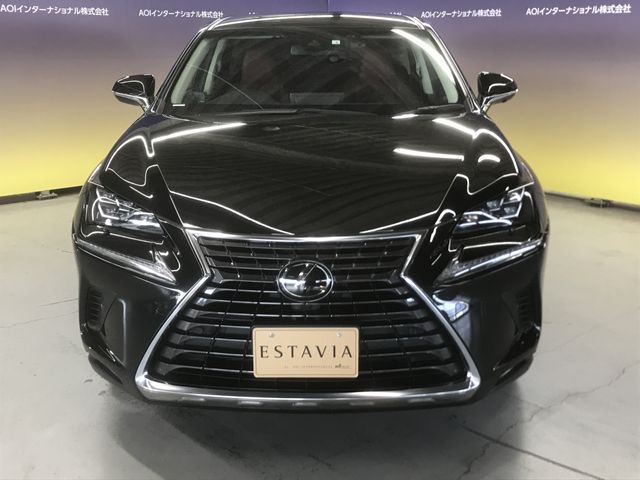 Lexus NX 2018-08 191787-3
