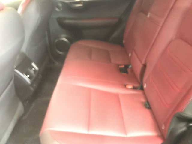 Lexus NX 2018-08 191787-17