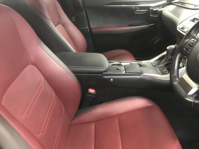 Lexus NX 2018-08 191787-12