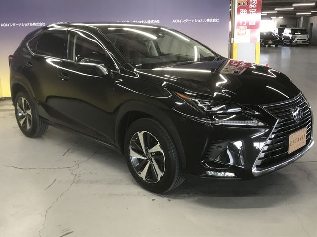Lexus NX 2018-08 191787-5