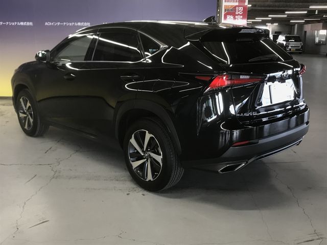 Lexus NX 2018-08 191787-10