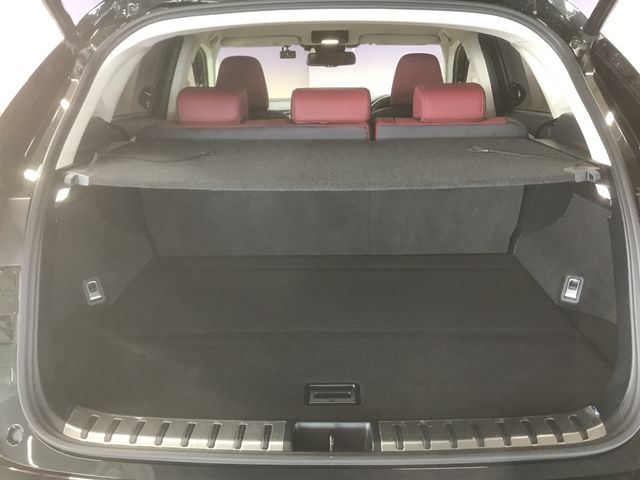 Lexus NX 2018-08 191787-15