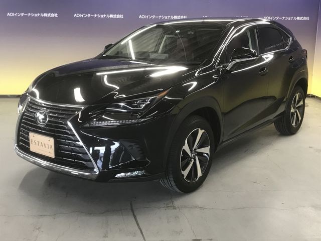 Lexus NX 2018-08 191787-4