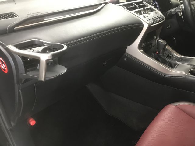 Lexus NX 2018-08 191787-18