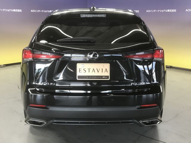 Lexus NX 2018-08 191787-8