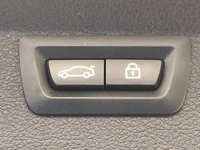 Bmw 2 SERIES 2016-04 184657-3