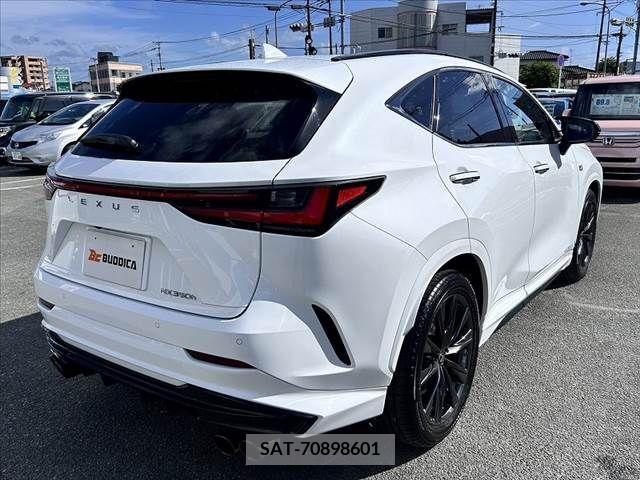 Lexus NX 2023-11 334457-12