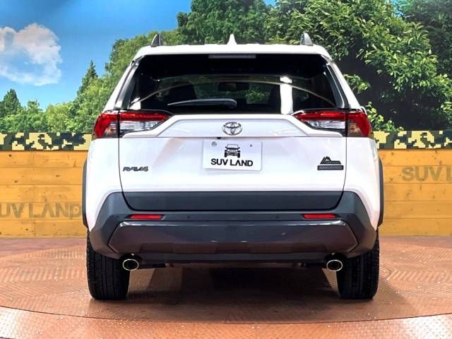 Toyota RAV4 2021-03 17831-15