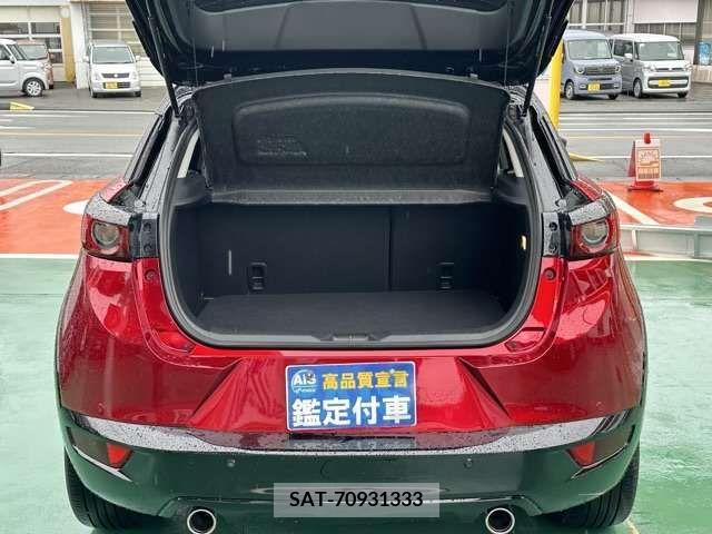 Mazda CX-3 2023-04 216234-14