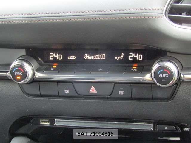 Mazda MAZDA3 2019-10 216865-10