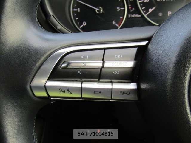 Mazda MAZDA3 2019-10 216865-11
