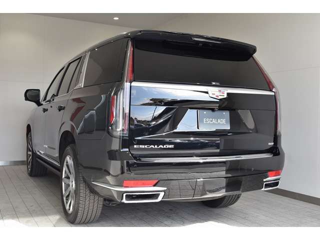 Cadillac ESCALADE 2022-12 17826-6