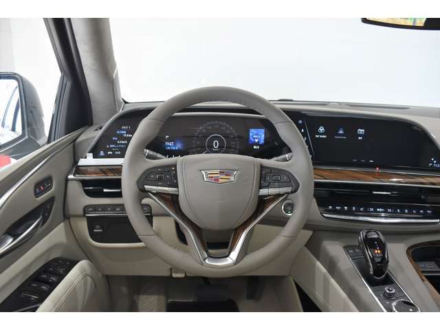 Cadillac ESCALADE 2022-12 17826-9
