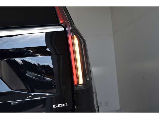Cadillac ESCALADE 2022-12 17826-18
