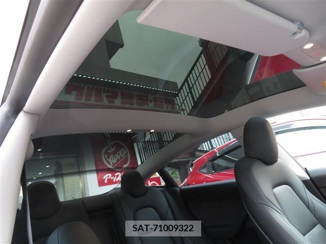 Tesla MODEL 3 2021-06 310895-13