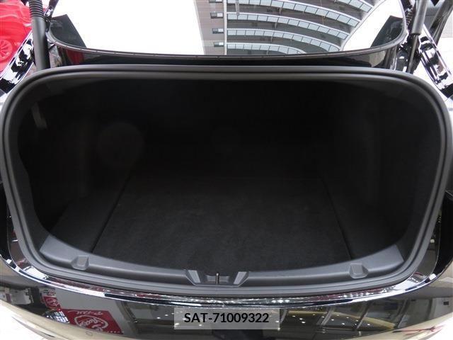 Tesla MODEL 3 2021-06 310895-9