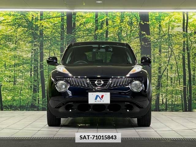 Nissan JUKE 2011-08 339034-14