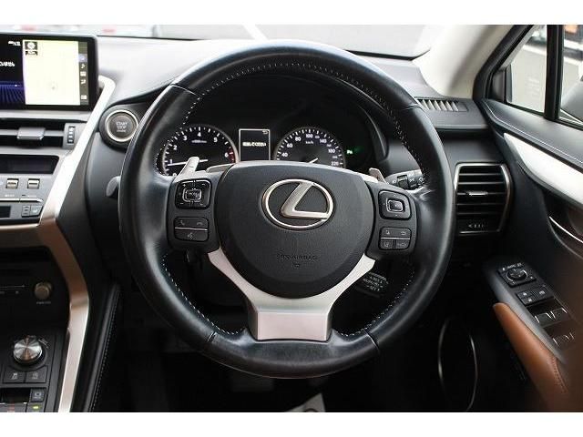 Lexus NX 2018-01 193938-15