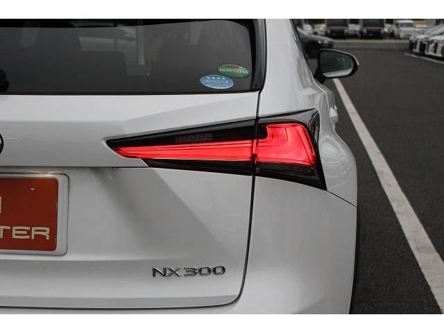 Lexus NX 2018-01 193938-11