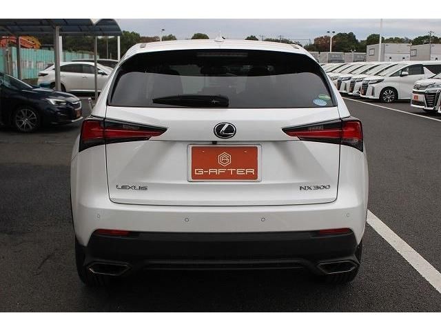 Lexus NX 2018-01 193938-7