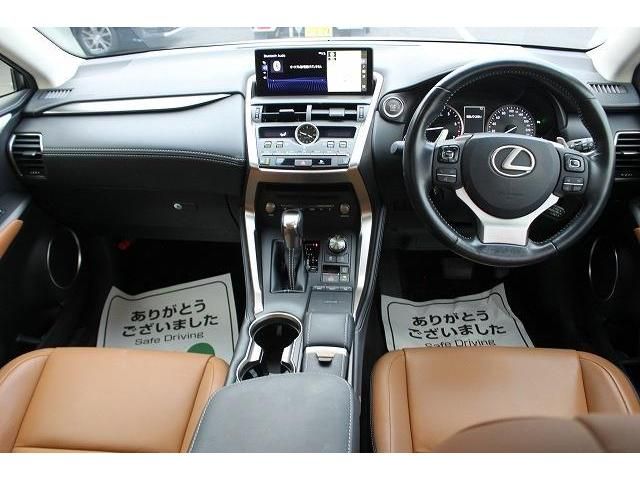 Lexus NX 2018-01 193938-14