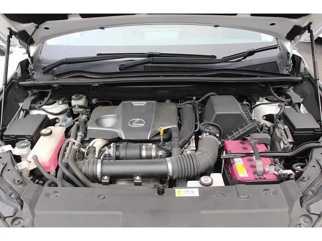 Lexus NX 2018-01 193938-17