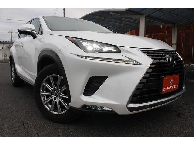 Lexus NX 2018-01 193938-10