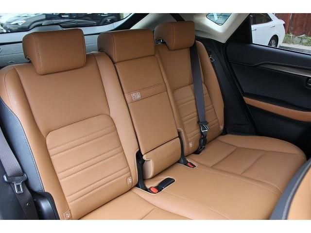 Lexus NX 2018-01 193938-13