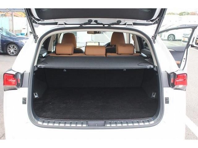 Lexus NX 2018-01 193938-16