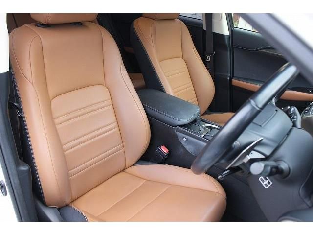 Lexus NX 2018-01 193938-12
