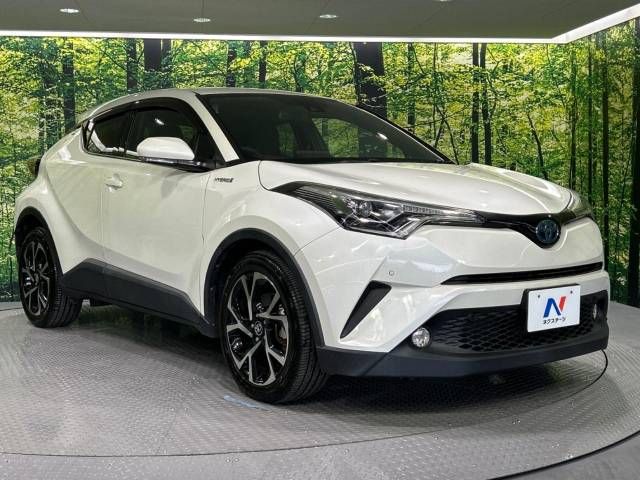 Toyota C-HR 2017-01 19804-16