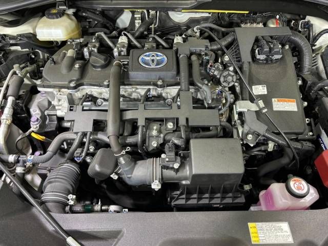 Toyota C-HR 2017-01 19804-18