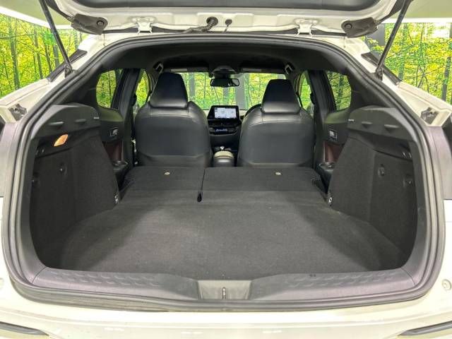 Toyota C-HR 2017-01 19804-10