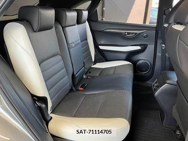 Lexus NX 2018-03 275696-9