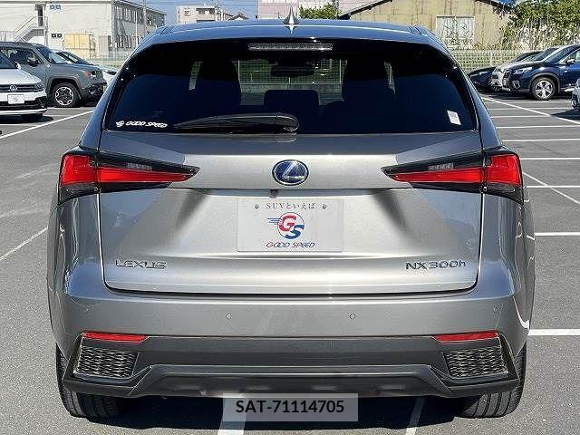 Lexus NX 2018-03 275696-11